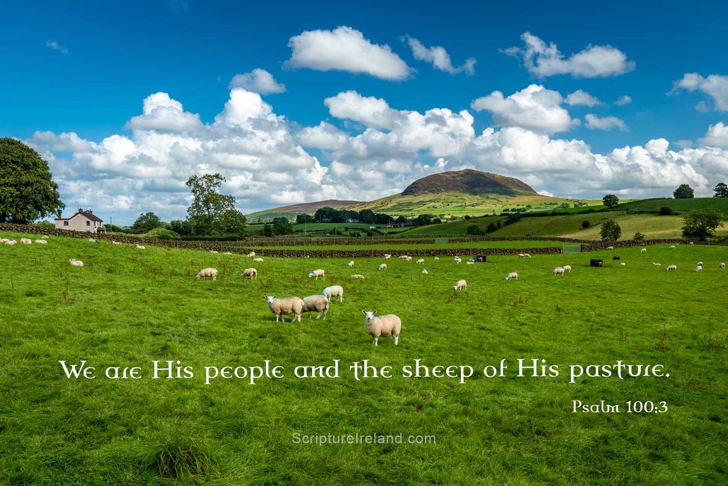 Slemish, County Antrim, where it is said Saint Patrick spent six years tending sheep as a slave from age sixteen