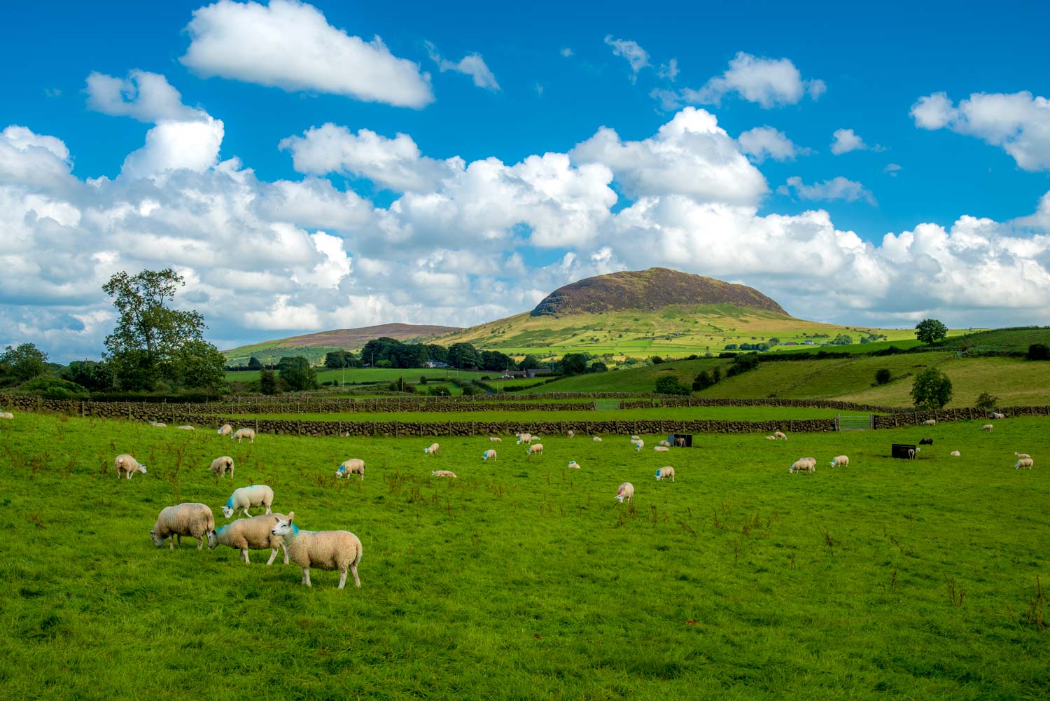 Slemish Mountain County Antrim, where Patrick was held in captivity.